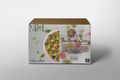 Thai Green Curry
